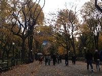 IMG_9714.JPG