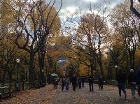 IMG_9715.JPG