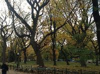 IMG_9718.JPG