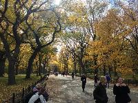 IMG_9735.JPG