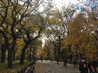 IMG_9738.JPG
