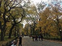 IMG_9742.JPG