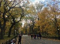 IMG_9743.JPG