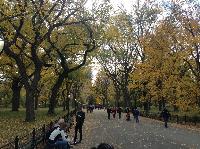 IMG_9744.JPG