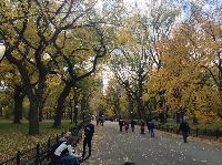 IMG_9745.JPG