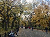 IMG_9747.JPG