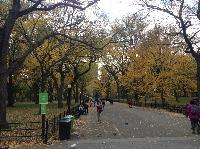 IMG_9750.JPG