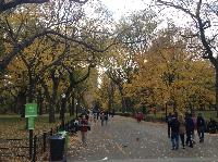 IMG_9752.JPG