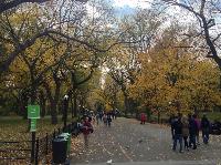 IMG_9753.JPG