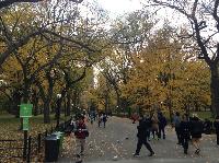 IMG_9754.JPG