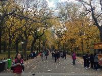 IMG_9757.JPG