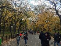 IMG_9761.JPG
