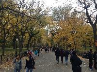 IMG_9762.JPG