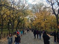 IMG_9763.JPG