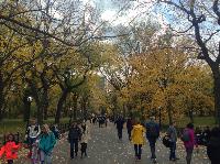 IMG_9765.JPG