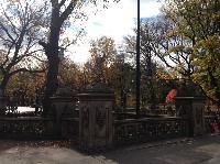 IMG_9774.JPG
