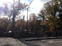 IMG_9776.JPG