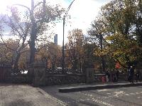 IMG_9778.JPG