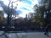 IMG_9782.JPG