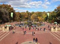 IMG_9785.JPG