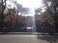 IMG_9786.JPG