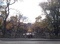 IMG_9792.JPG