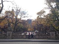 IMG_9794.JPG