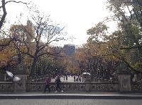 IMG_9798.JPG