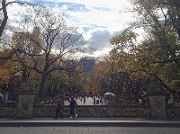 IMG_9799.JPG