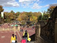 IMG_9801.JPG