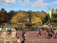 IMG_9806.JPG