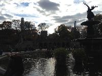 IMG_9809.JPG