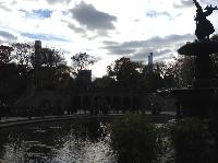 IMG_9811.JPG