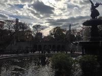 IMG_9812.JPG