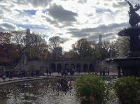 IMG_9814.JPG