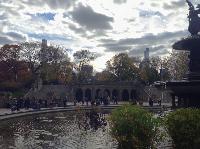 IMG_9816.JPG