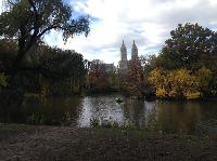 IMG_9843.JPG