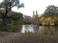 IMG_9845.JPG