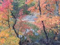 IMG_9848.JPG