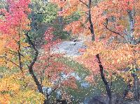 IMG_9849.JPG
