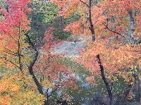 IMG_9850.JPG