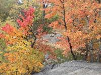 IMG_9854.JPG