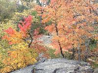 IMG_9857.JPG