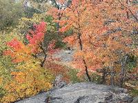 IMG_9858.JPG