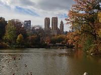 IMG_9864.JPG
