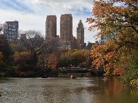 IMG_9866.JPG