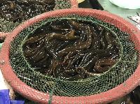 IMG_4443.JPG