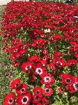 IMG_4845.JPG