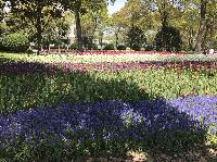 IMG_4869.JPG