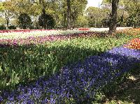 IMG_4871.JPG